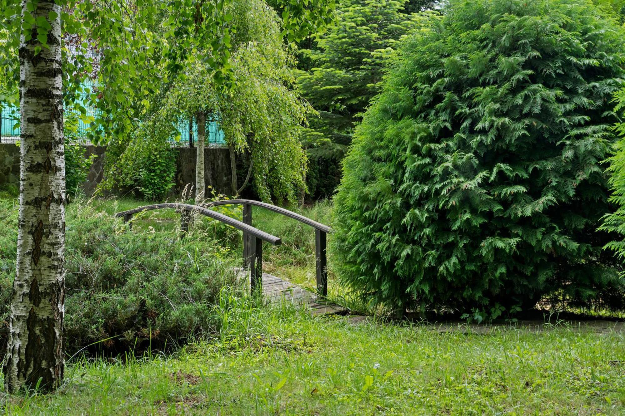 Wine Cellar Villa With Beautiful Garden In Sinaia - Busteni Poiana Tapului Exterior photo
